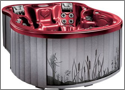 amore tub 2 Date un rico baño por U$20,000 dólares
