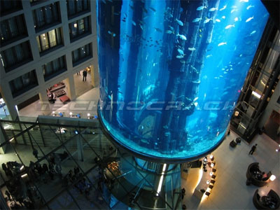 aquadom 01 foto en Technocracia.com aquadom_01 El acuario cilíndrico más grande del mundo